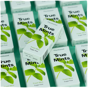 True Mints natūralios čiulpiamosios pastilės gaivių mėtų skonio